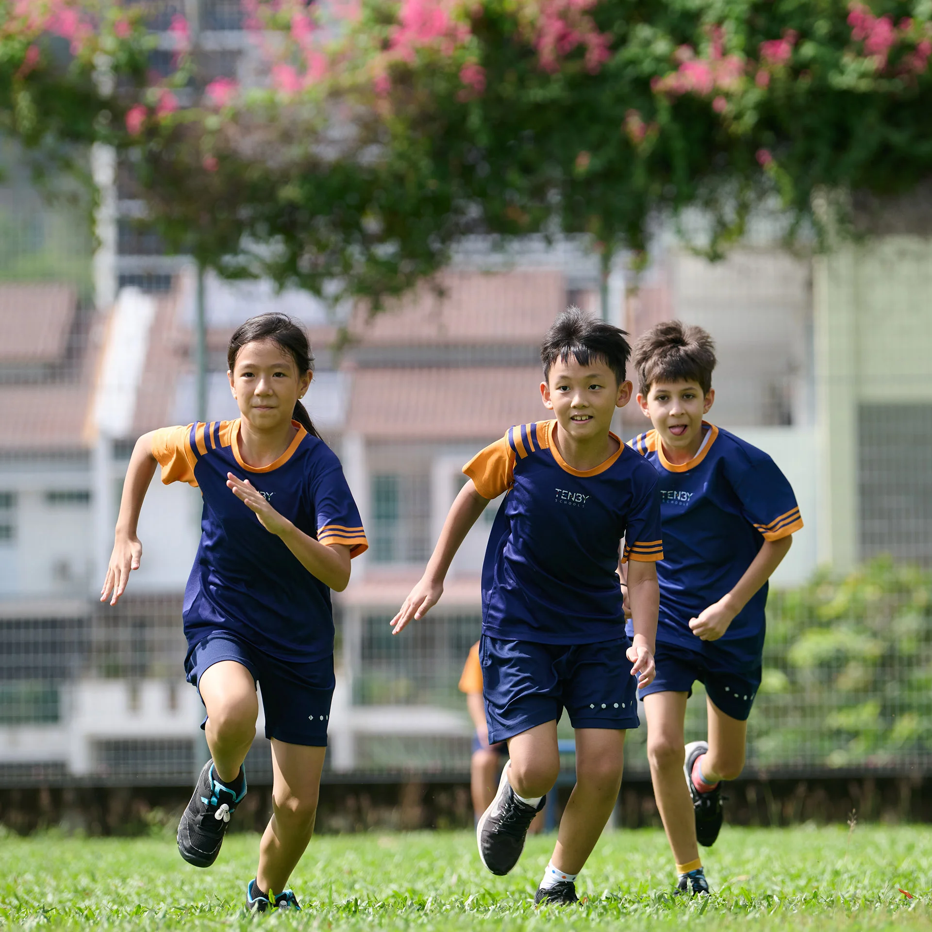 Clubs, sports & opportunities