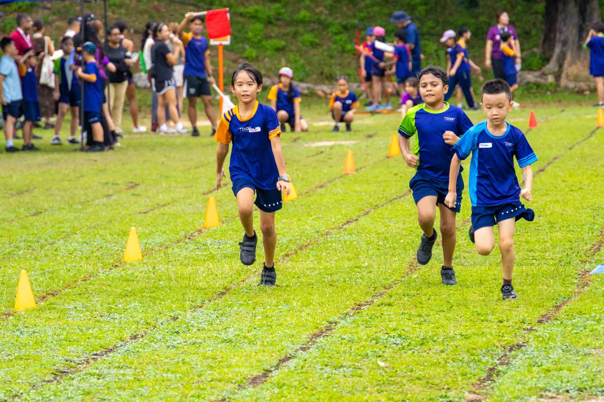 On Your Marks, Tigers! Celebrating Sports Day 2026