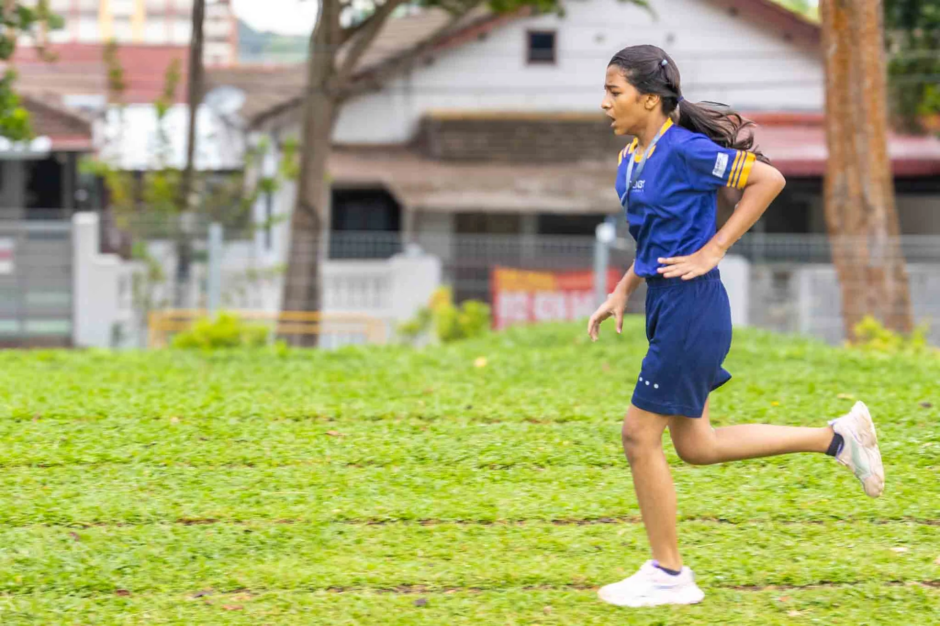 On Your Marks, Tigers! Celebrating Sports Day 2026