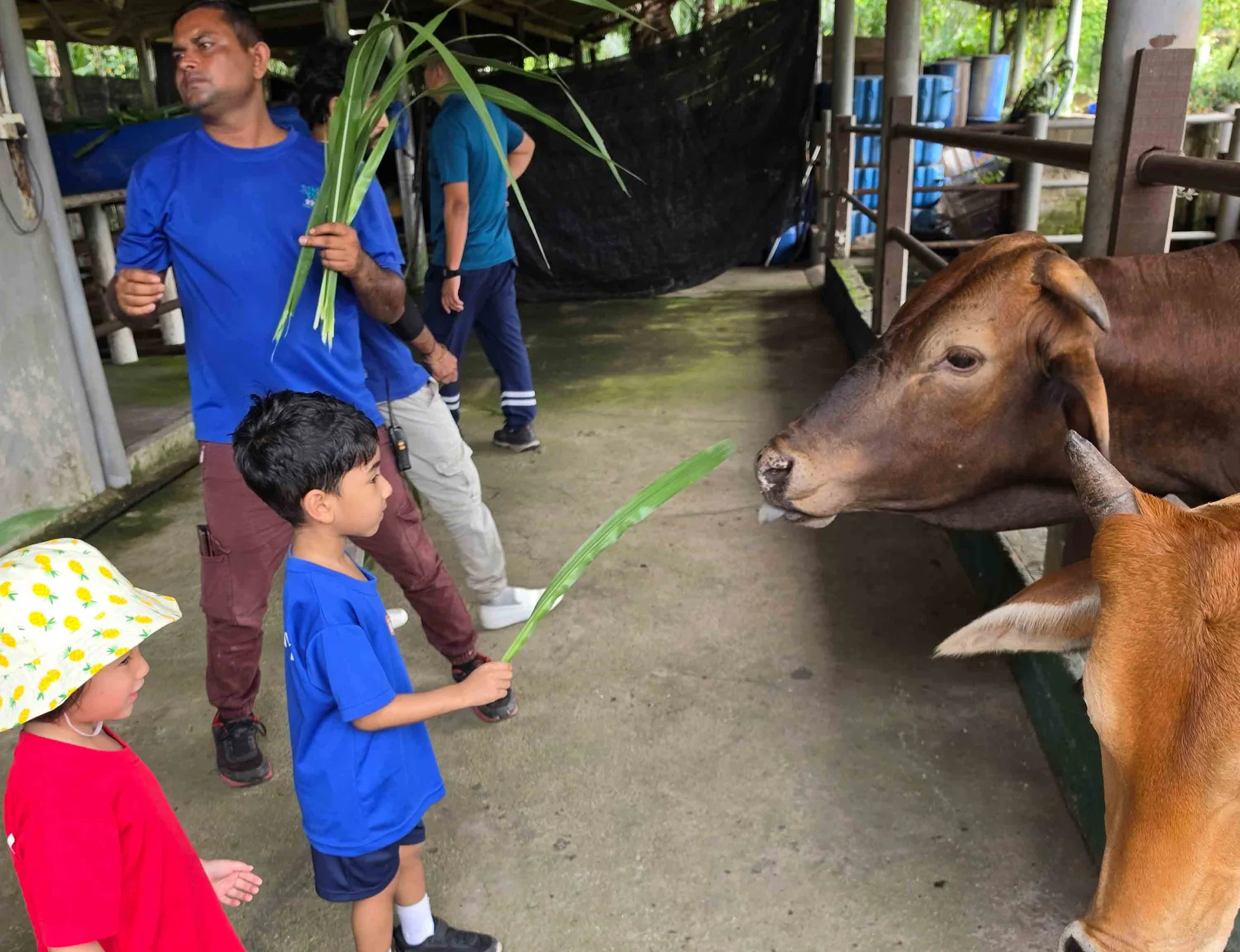 Early Years Adventure at Sinar Eco Resort: Learning Beyond the Classroom at Tenby Schools Setia Eco Gardens