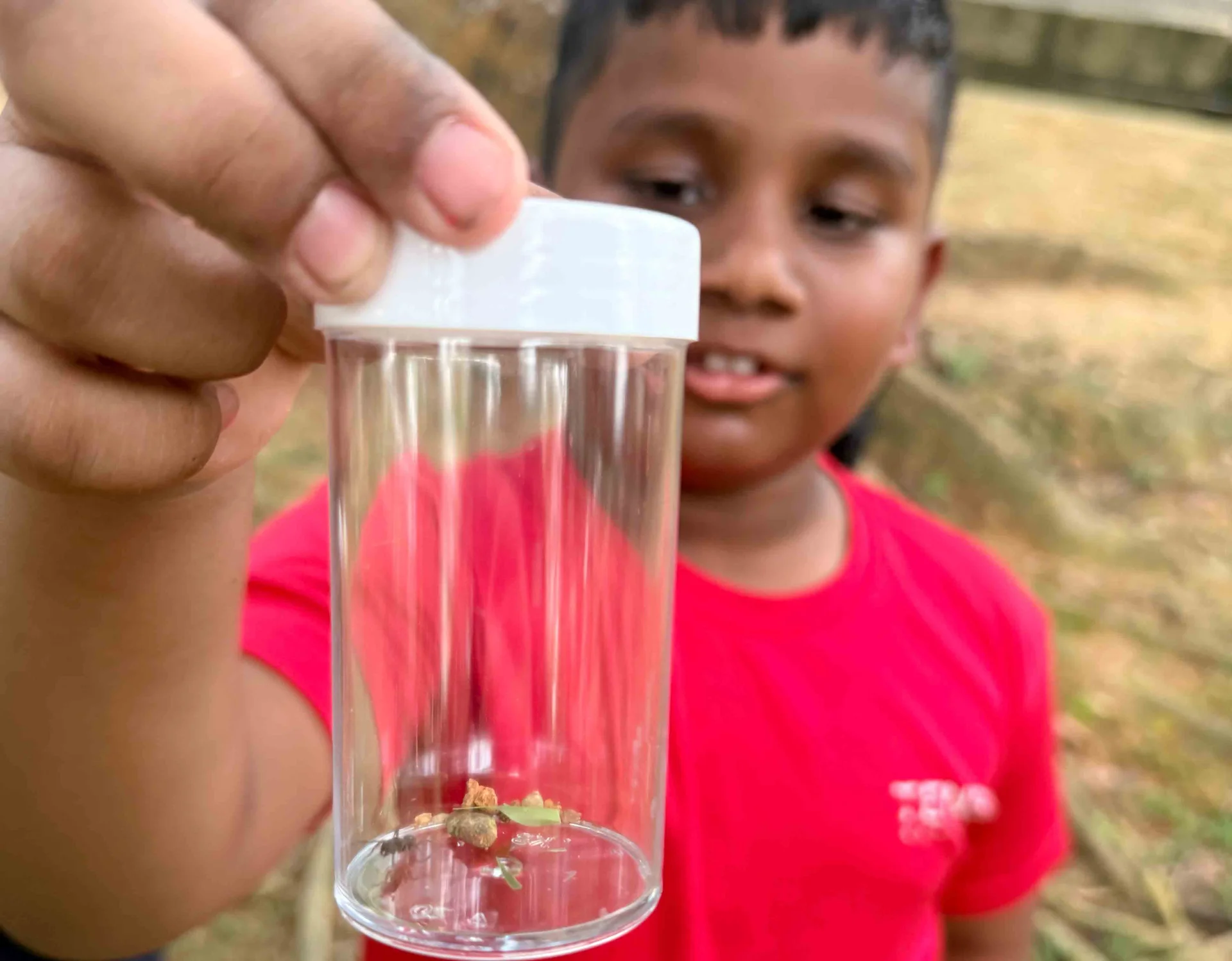 Kem KoKu 2026: Where Learning Goes Beyond the Classroom at Tenby Schools Setia Eco Gardens