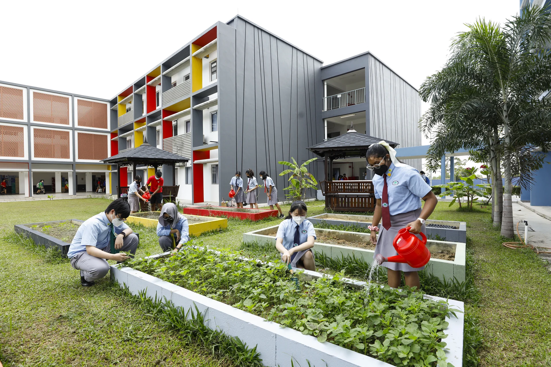 Eco School 2