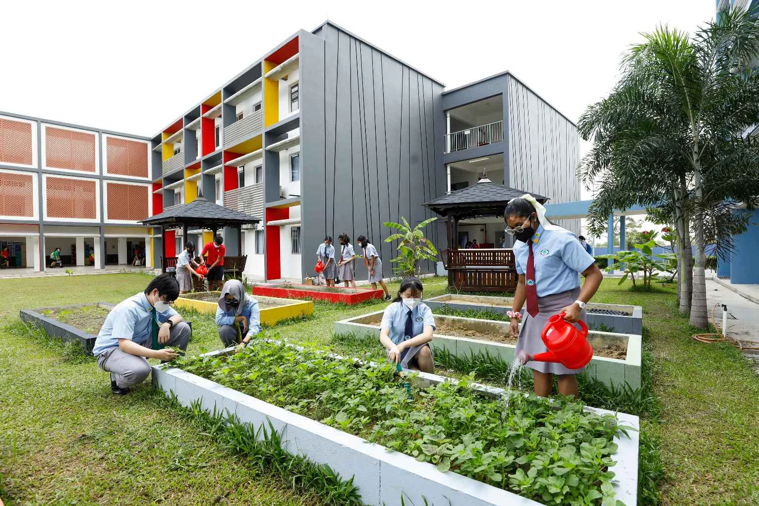 Eco opportunities
