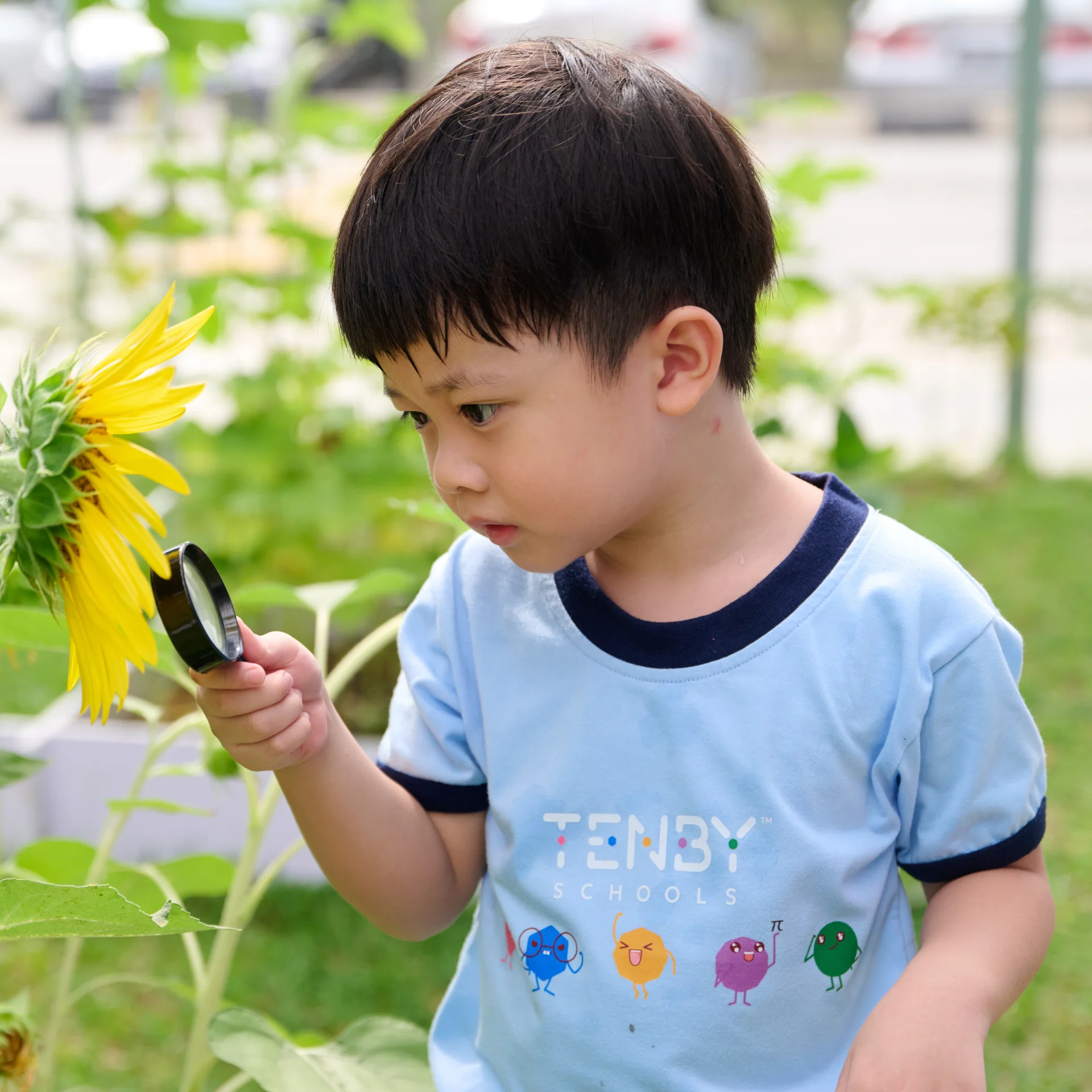 A pioneering eco-school