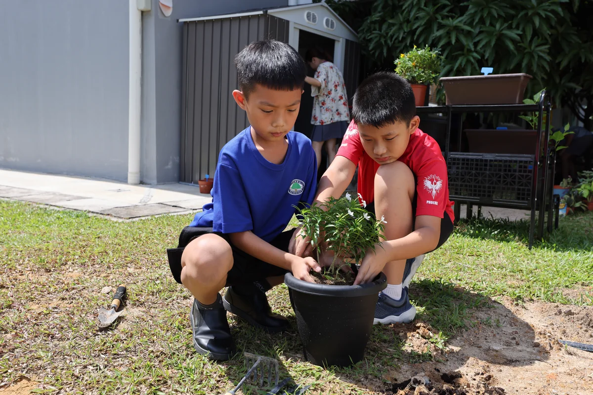 International Primary School 