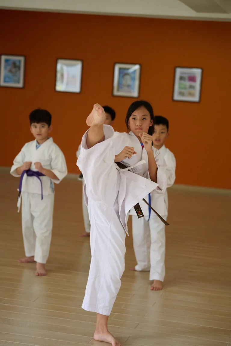 Taekwondo