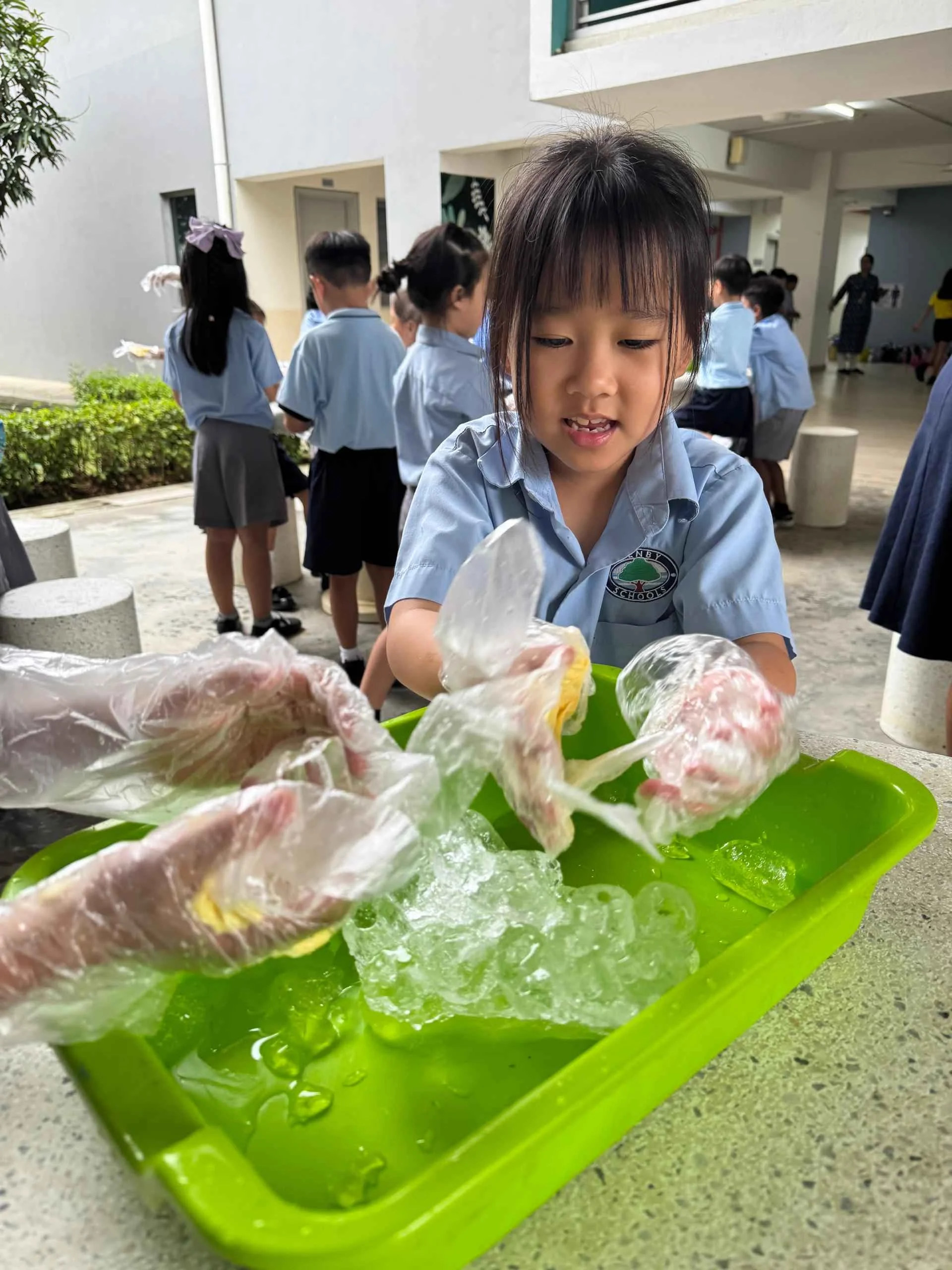 Year 2 Explore Arctic Survival in IPC Science Lesson