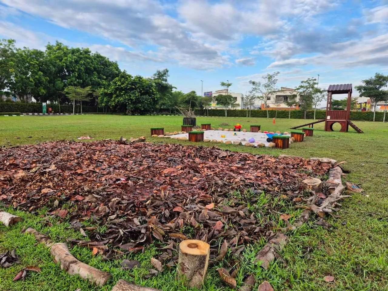 TTA Launches Brand-New Forest School