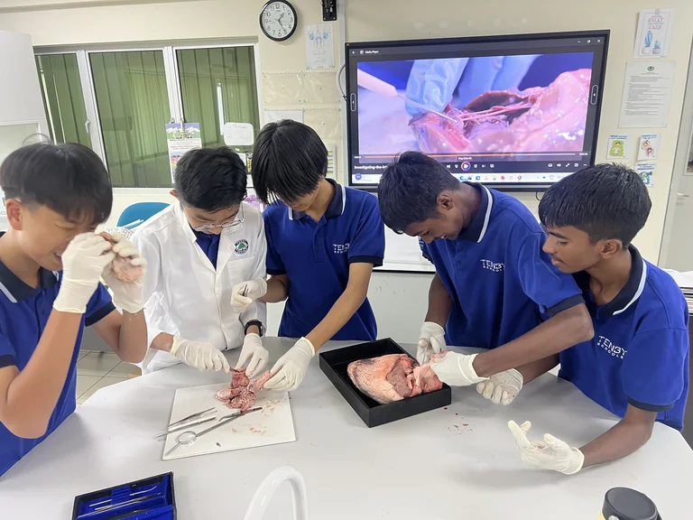 Exploring the Wonders of Science