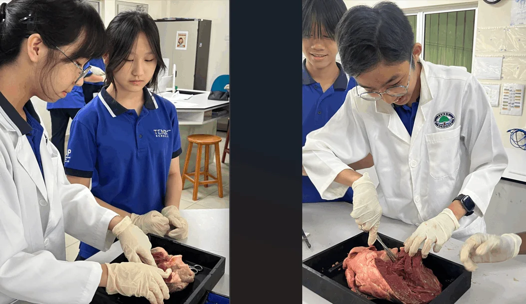 Exploring the Wonders of Science