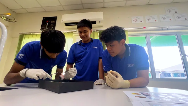 Discovering How We See: Year 10 Biology