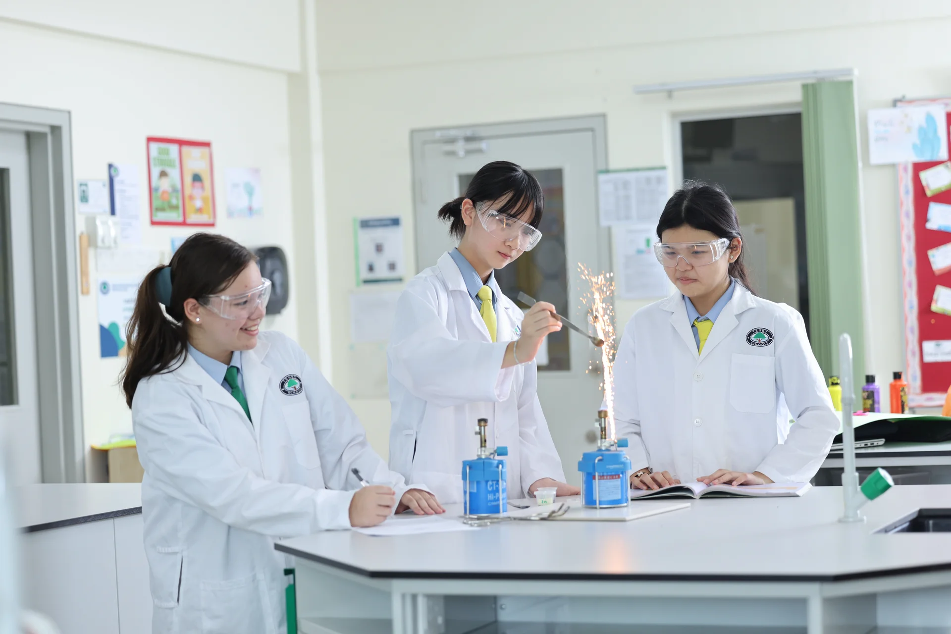Year 9 to 11 - elective IGCSEs